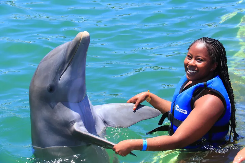 dolphin swim punta cana